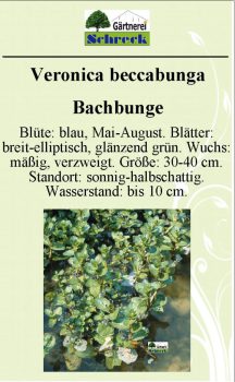 Pflanzenschilder_Schreck_Seite_320-633x1024