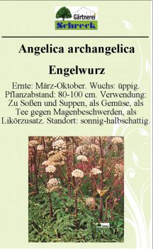 Pflanzenschilder_Schreck_Seite_324-633x1024