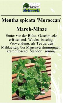 Pflanzenschilder_Schreck_Seite_340-633x1024