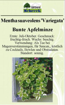 Pflanzenschilder_Schreck_Seite_341-633x1024