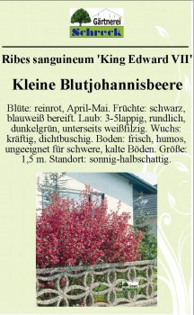 Pflanzenschilder_Schreck_Seite_552-633x1024