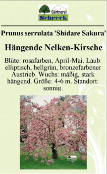 Pflanzenschilder_Schreck_Seite_553-633x1024