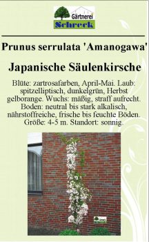 Pflanzenschilder_Schreck_Seite_589-633x1024