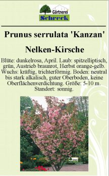 Pflanzenschilder_Schreck_Seite_590-633x1024