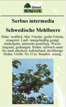 Pflanzenschilder_Schreck_Seite_595-633x1024