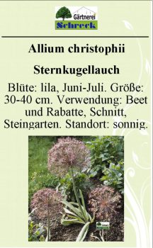 Pflanzenschilder_Schreck_Seite_009-633x1024