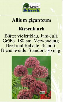 Pflanzenschilder_Schreck_Seite_010-633x1024