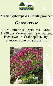 Pflanzenschilder_Schreck_Seite_020-633x1024