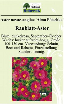 Pflanzenschilder_Schreck_Seite_032-633x1024