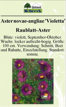 Pflanzenschilder_Schreck_Seite_033-633x1024