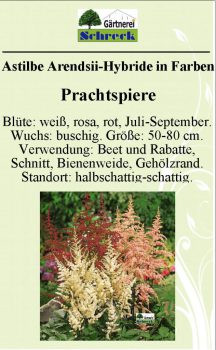 Pflanzenschilder_Schreck_Seite_036-633x1024