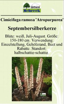 Pflanzenschilder_Schreck_Seite_062-633x1024