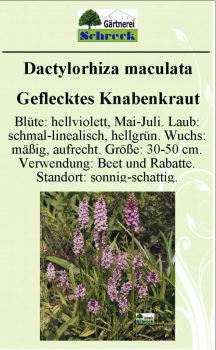 Pflanzenschilder_Schreck_Seite_071-633x1024