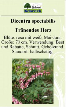 Pflanzenschilder_Schreck_Seite_078-633x1024