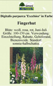 Pflanzenschilder_Schreck_Seite_080-633x1024