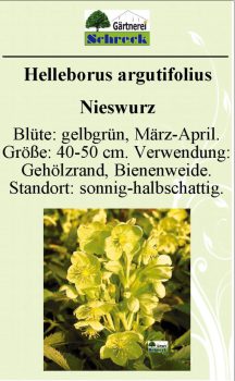 Pflanzenschilder_Schreck_Seite_119-633x1024