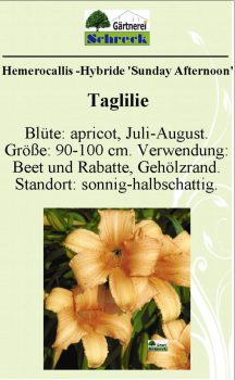 Pflanzenschilder_Schreck_Seite_121-633x1024