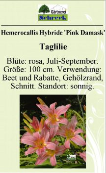 Pflanzenschilder_Schreck_Seite_122-633x1024