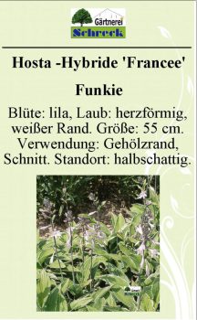 Pflanzenschilder_Schreck_Seite_126-633x1024