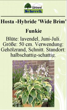 Pflanzenschilder_Schreck_Seite_128-633x1024