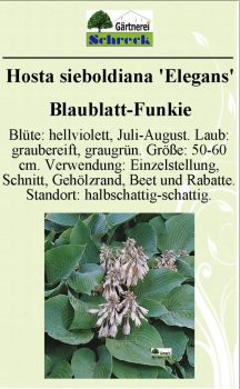 Pflanzenschilder_Schreck_Seite_130-633x1024