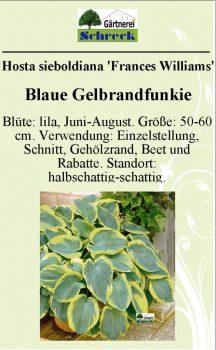 Pflanzenschilder_Schreck_Seite_131-633x1024