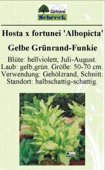 Pflanzenschilder_Schreck_Seite_132-633x1024