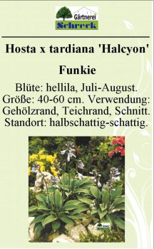 Pflanzenschilder_Schreck_Seite_134-633x1024