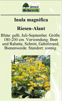 Pflanzenschilder_Schreck_Seite_139-633x1024