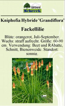 Pflanzenschilder_Schreck_Seite_146-633x1024