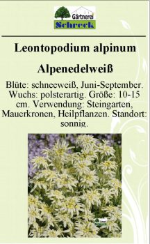 Pflanzenschilder_Schreck_Seite_149-633x1024