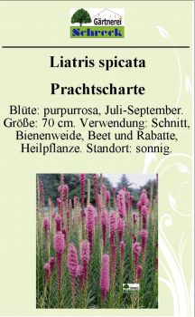 Pflanzenschilder_Schreck_Seite_154-633x1024