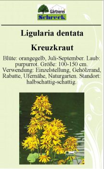 Pflanzenschilder_Schreck_Seite_155-633x1024