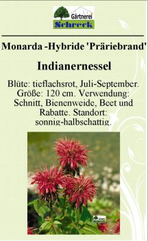 Pflanzenschilder_Schreck_Seite_169-633x1024