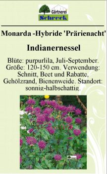 Pflanzenschilder_Schreck_Seite_170-633x1024