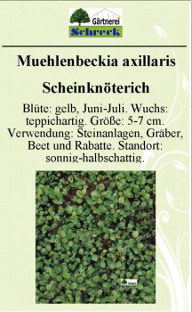 Pflanzenschilder_Schreck_Seite_171-633x1024