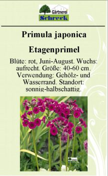 Pflanzenschilder_Schreck_Seite_209-633x1024