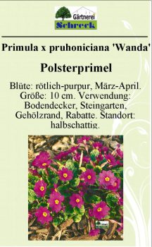 Pflanzenschilder_Schreck_Seite_213-633x1024