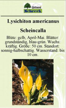 Pflanzenschilder_Schreck_Seite_305-633x1024