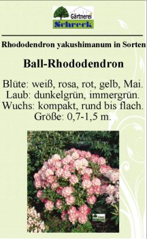 Pflanzenschilder_Schreck_Seite_441-633x1024