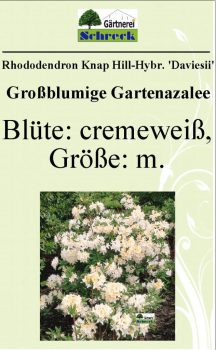 Pflanzenschilder_Schreck_Seite_445-633x1024