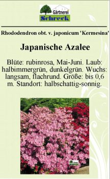 Pflanzenschilder_Schreck_Seite_449-633x1024