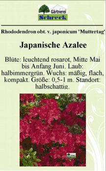 Pflanzenschilder_Schreck_Seite_451-633x1024