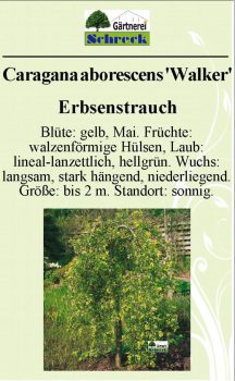 Pflanzenschilder_Schreck_Seite_469-633x1024