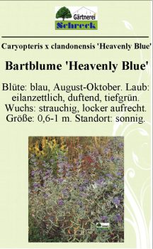 Pflanzenschilder_Schreck_Seite_471-633x1024