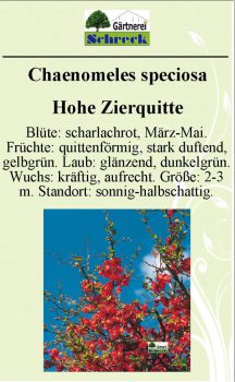 Pflanzenschilder_Schreck_Seite_475-633x1024