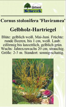 Pflanzenschilder_Schreck_Seite_480-633x1024