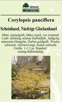 Pflanzenschilder_Schreck_Seite_481-633x1024