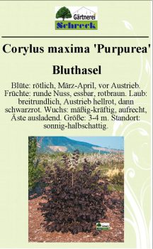 Pflanzenschilder_Schreck_Seite_483-633x1024