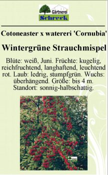 Pflanzenschilder_Schreck_Seite_485-633x1024